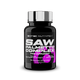 Scitec Nutrition Saw Palmetto Complex – 60 Caps | Prostate & Vitality Support