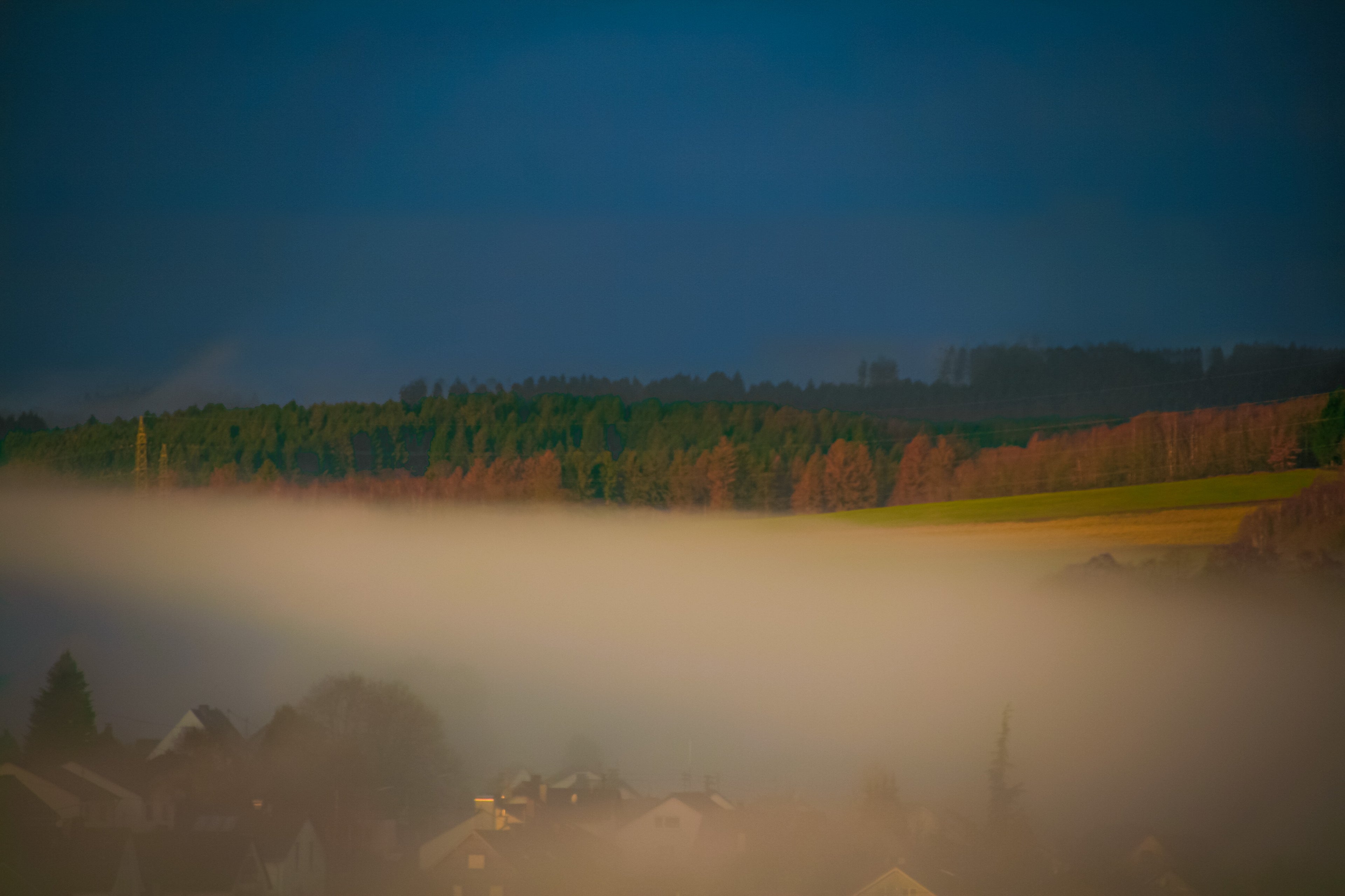 Misty landscape with trees and buildings in the distance